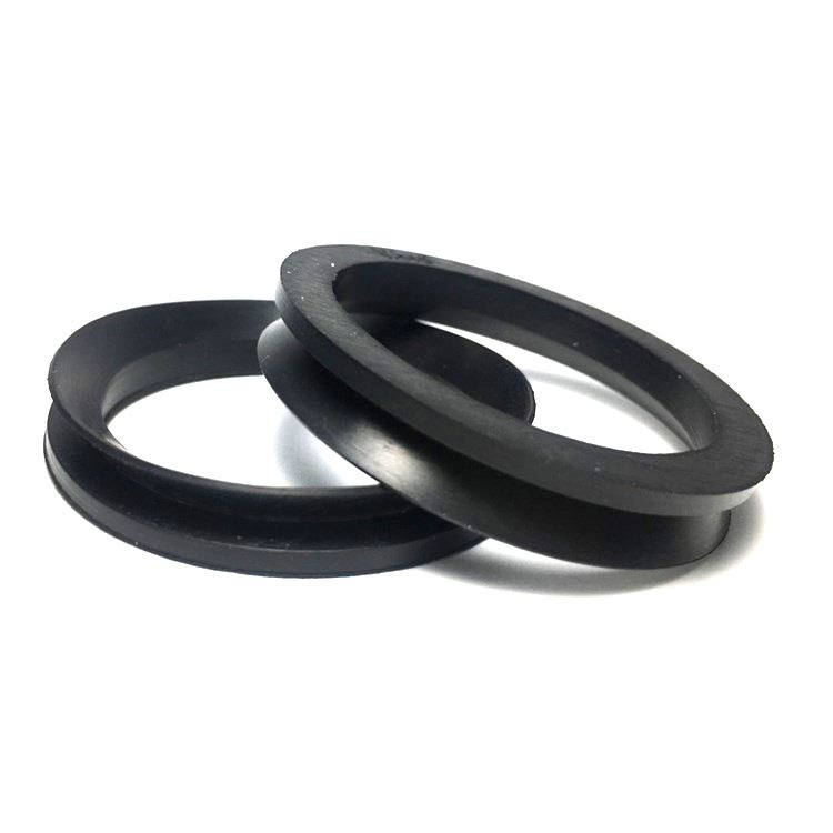 Rubber V-seal (1)
