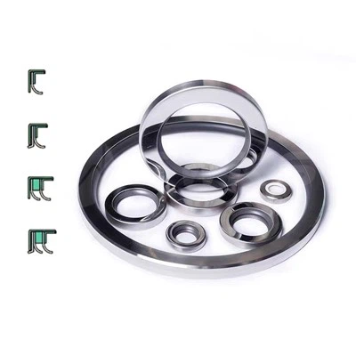 مهر و موم دو لبه PTFE فولاد ضد زنگ روغن