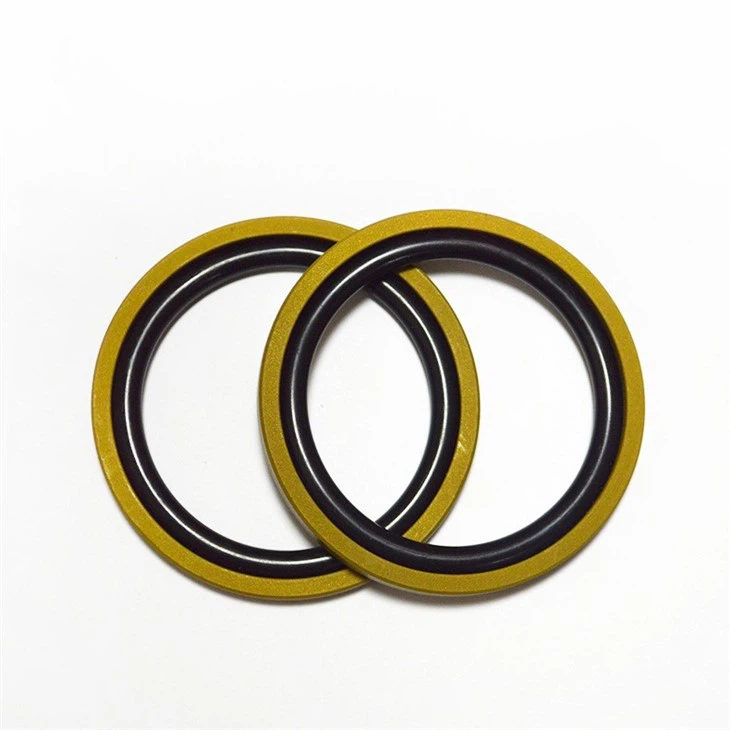 Hydraulic Piston SPGO Seal/Glyd Ring Compact Seals